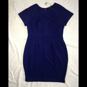 Royal blue pencil dress. NWT